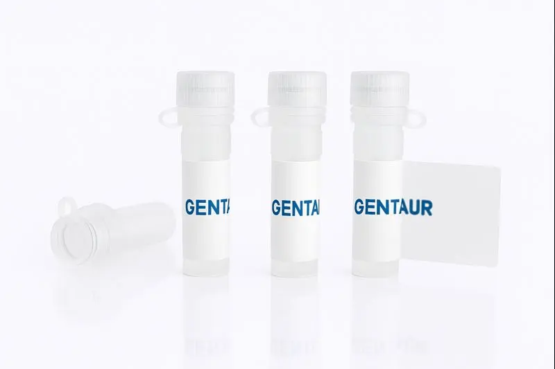 EphB4, Human (HEK293, Fc)