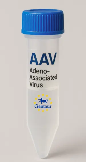 ARFRP1 AAV Vector (Mouse) (CMV)